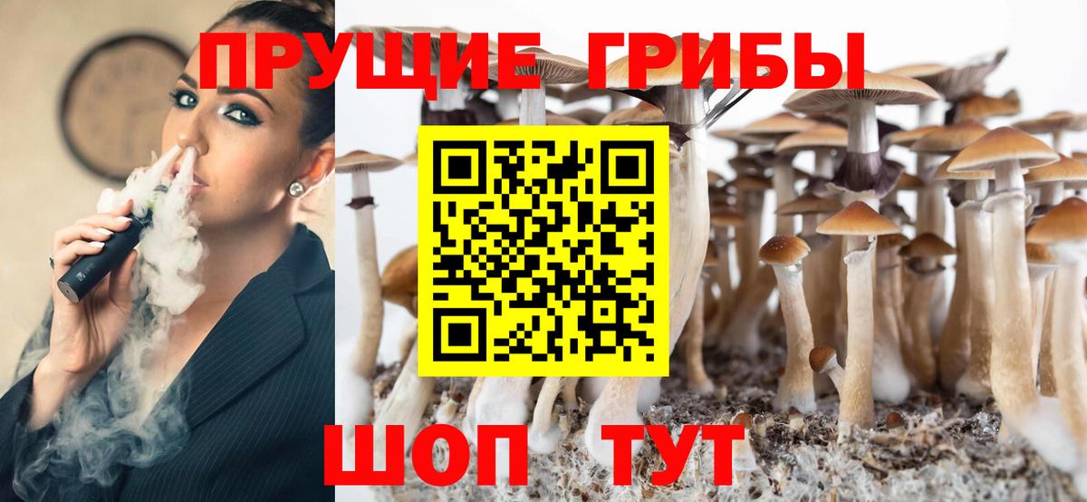 Реутов  Псилоцибиновые грибы GOLDEN TEACHER  Псилоцибиновые грибы ЛСД  Вход с VPN 